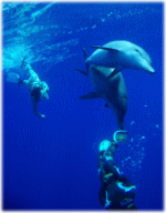 �h���t�B���X�C�����ł����Ⴄ�������